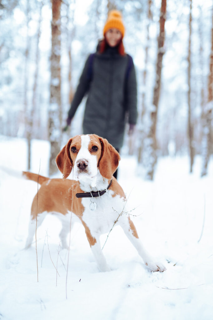Woman with red hair playing with her dog in a winter forest